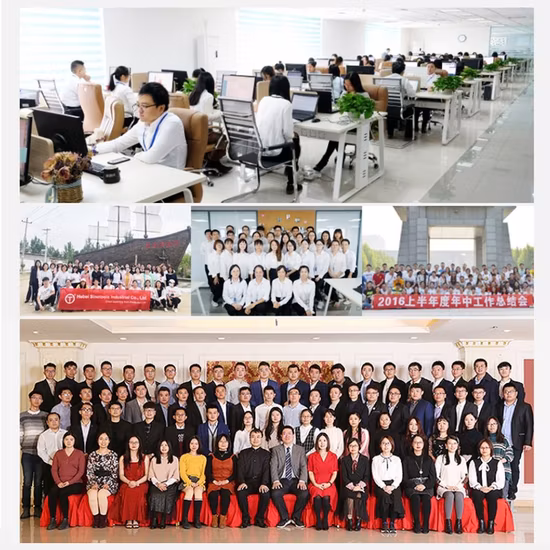 24개 철 상자 1/2인치 정비공 도구 세트 고정용 크롬 바나듐 소켓 렌치 세트